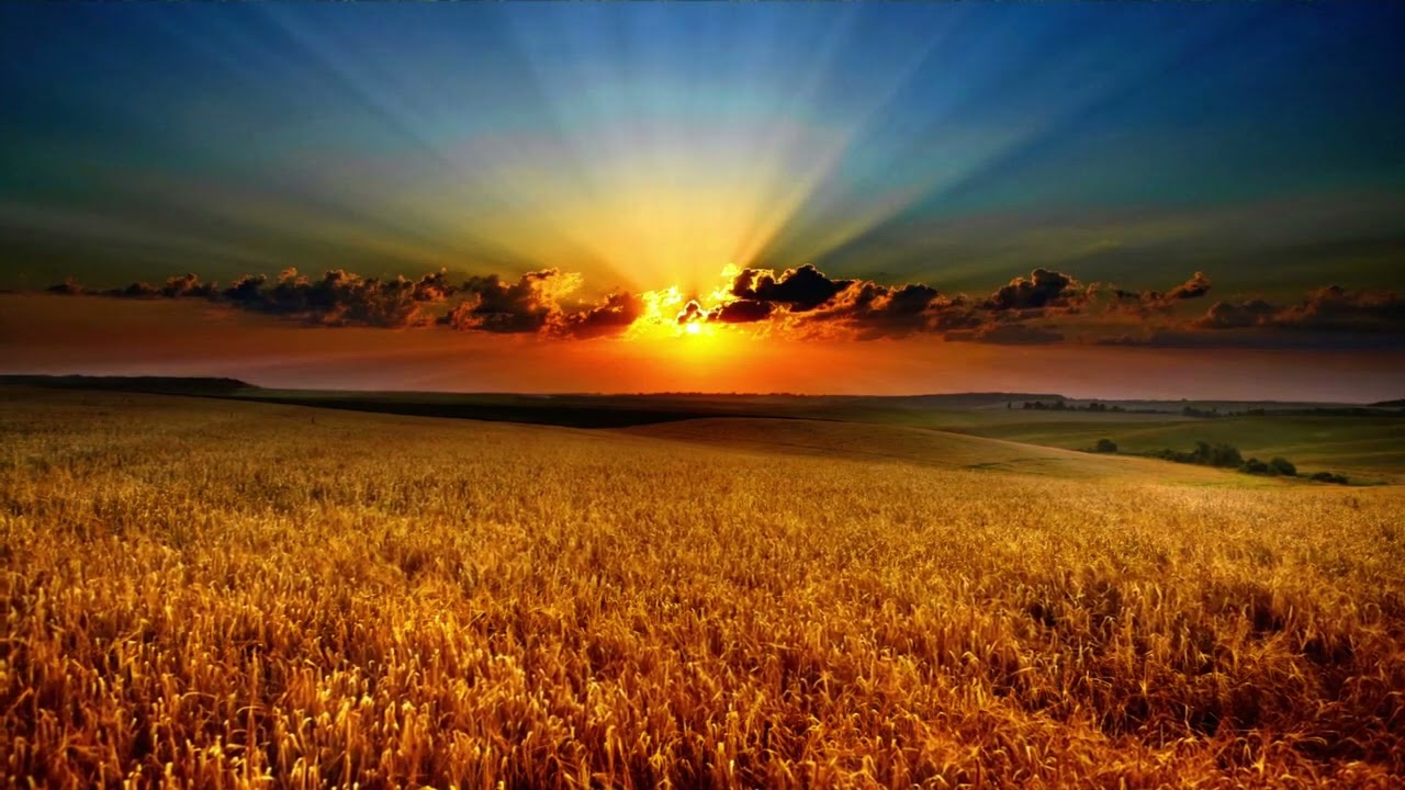 Beautiful Sunrise Time lapse   Unedited  | No Copyright Video   #natureout #daybecomesend