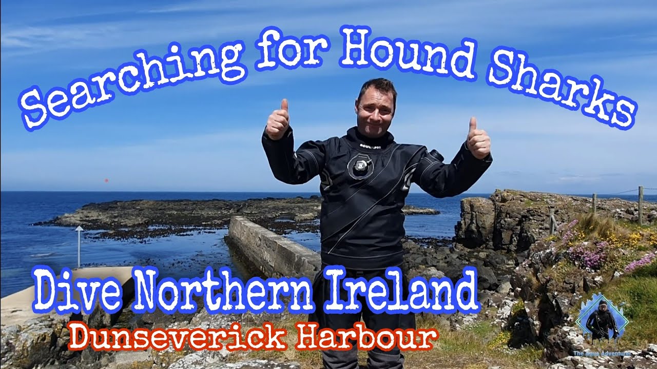 Diving with Hound Shark's In Northern Ireland