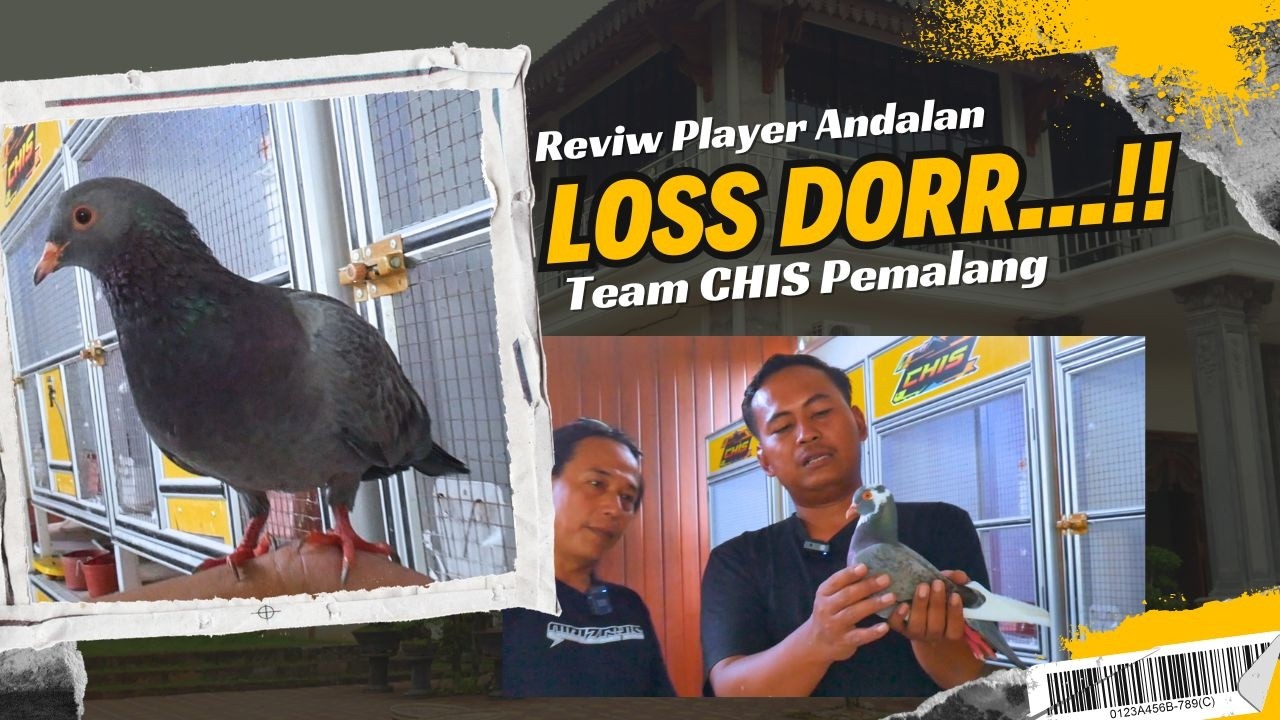 REVIW PLAYER ANDALAN TEAM CHIS PEMALANG