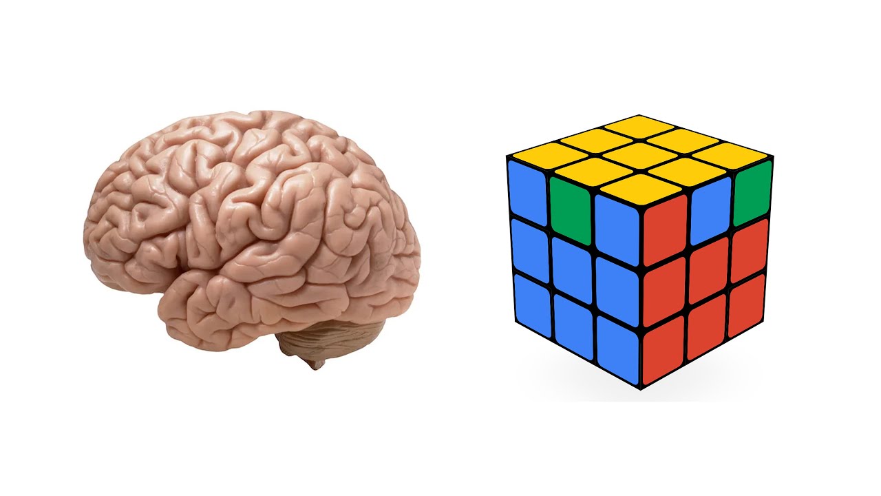 Rubik's Cubing Using Brain Science // A New Approach To PLL & AUF