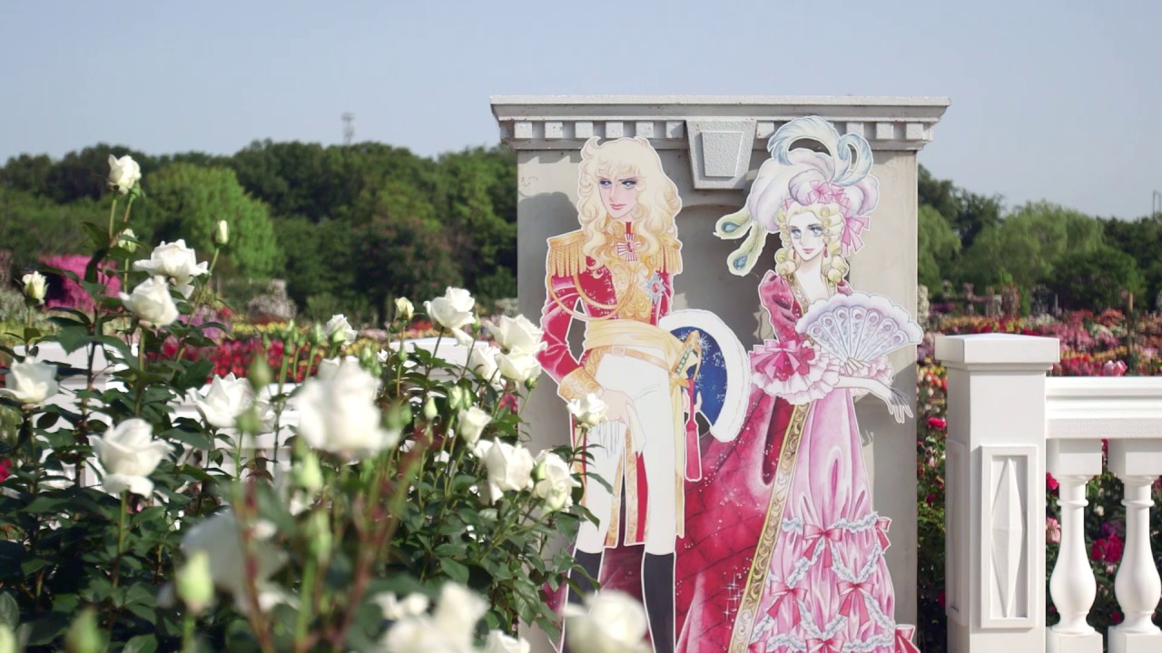 「京成バラ園」ドローン空撮映像