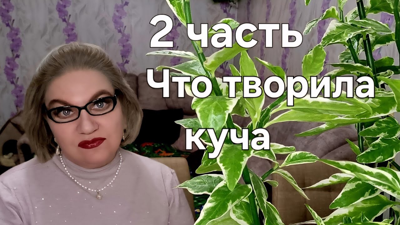 Что творила куча 