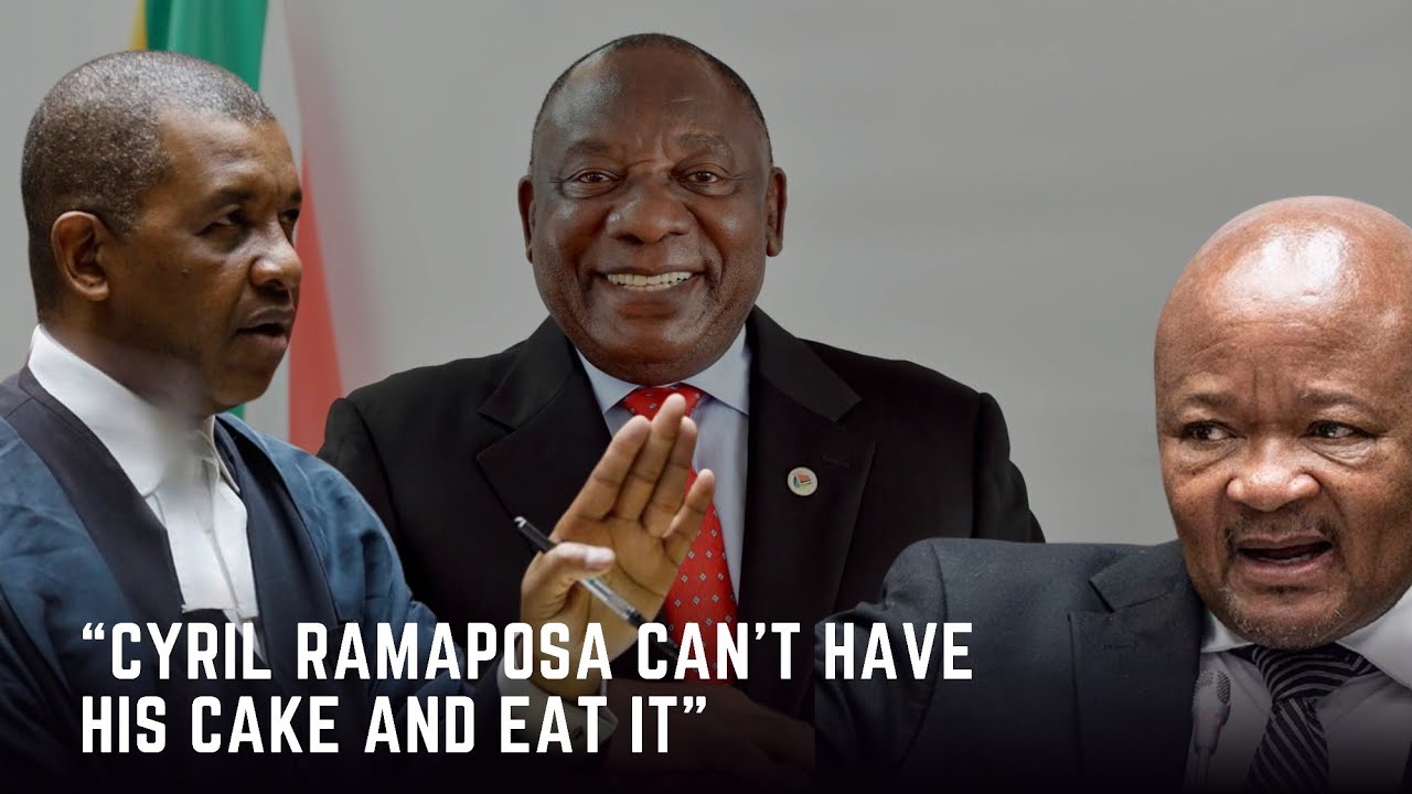 Adv. Dali Mpofu argues that Ramaphosa's actions regarding Minister Senzo Mchunu are unconstitutional