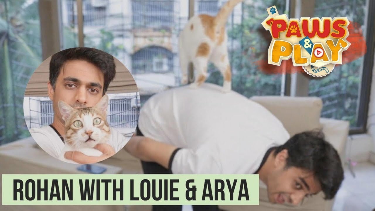 PAWS & PLAY: Rohan Joshi | Cat parent
