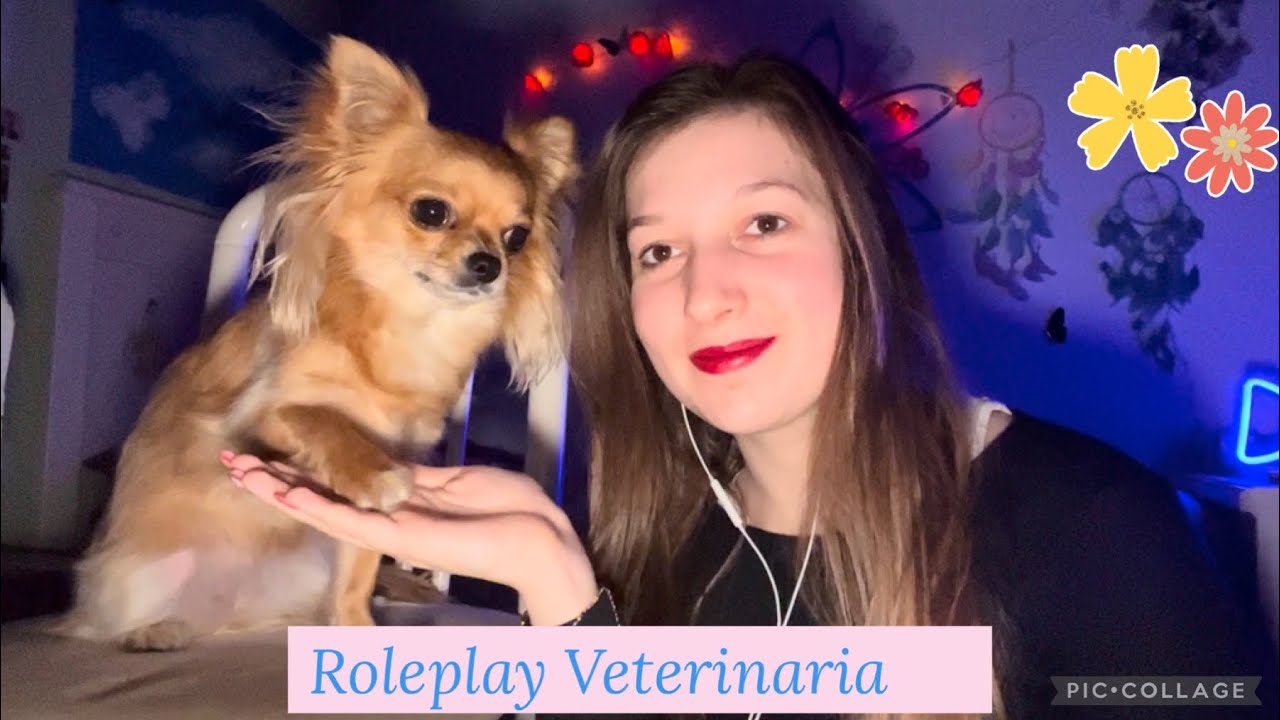 ASMR ITA - ROLEPLAY VETERINARIA CON LA CUCCIOLA LILLA 💜💜💜