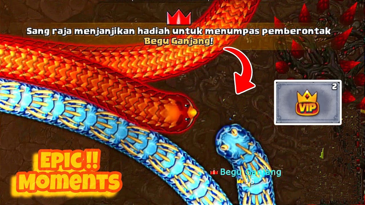 Little Big Snake Epic Funny Moments Rebel Kills Getting Vip 2 day
