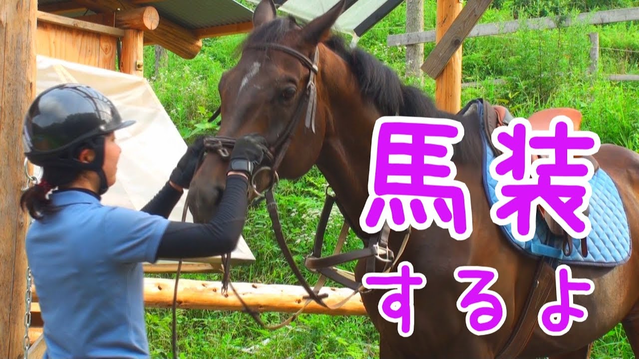 【解説】馬装するよ！