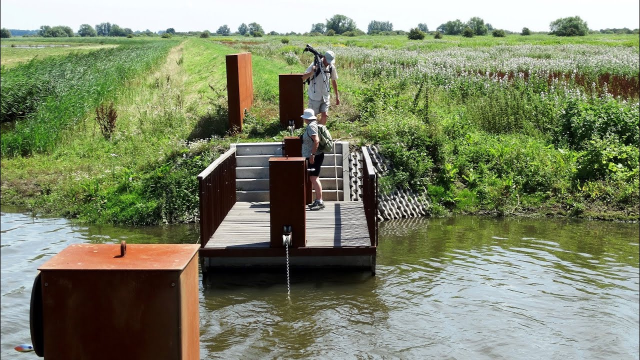 Spuimonding West 04 - Zomer in het Natuurgebied / Zuidland 2014