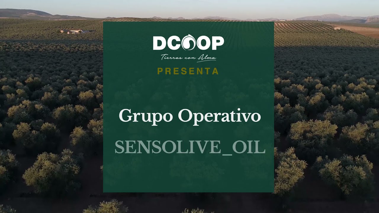 SENSOLIVE OIL - DCOOP