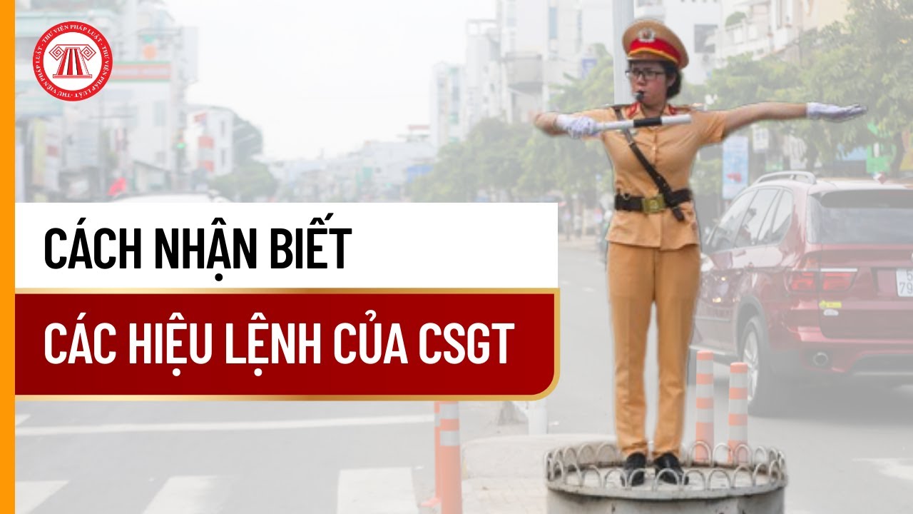 Cách Nhận Biết Các Hiệu Lệnh Của CSGT | THƯ VIỆN PHÁP LUẬT