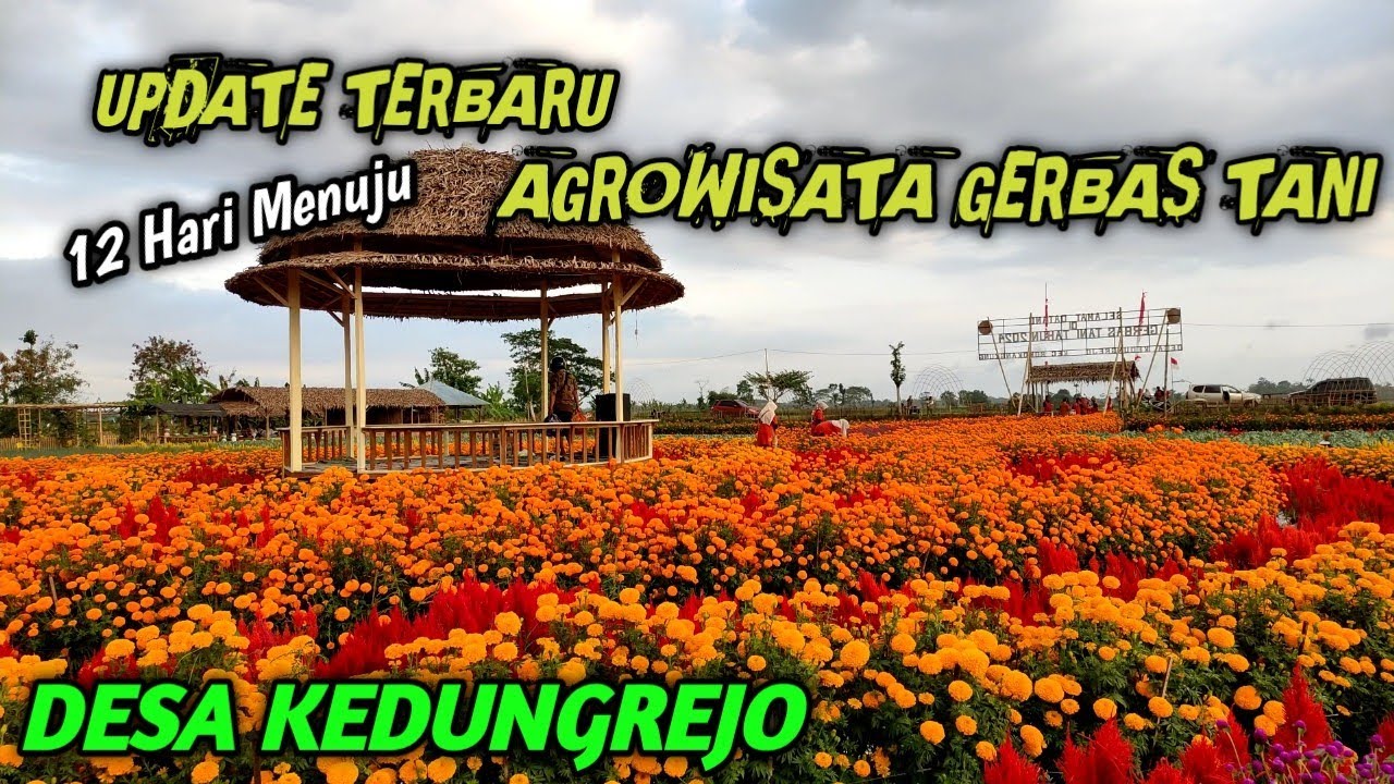 Update Terkini Lokasi Gerbas Tani ll Siap untuk dikunjungi dalam beberapa hari kedepan