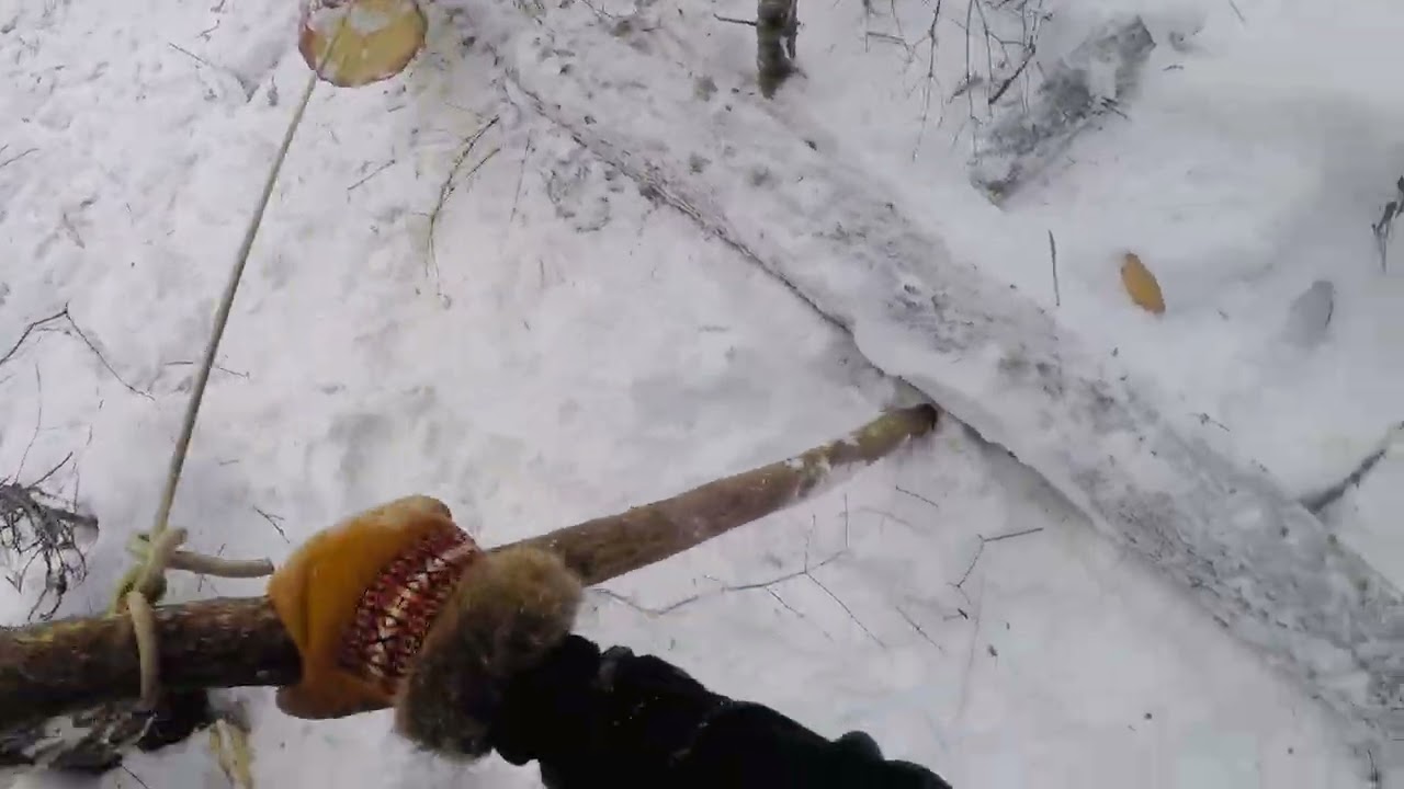Moving a single ☝️ log 🪵.😤