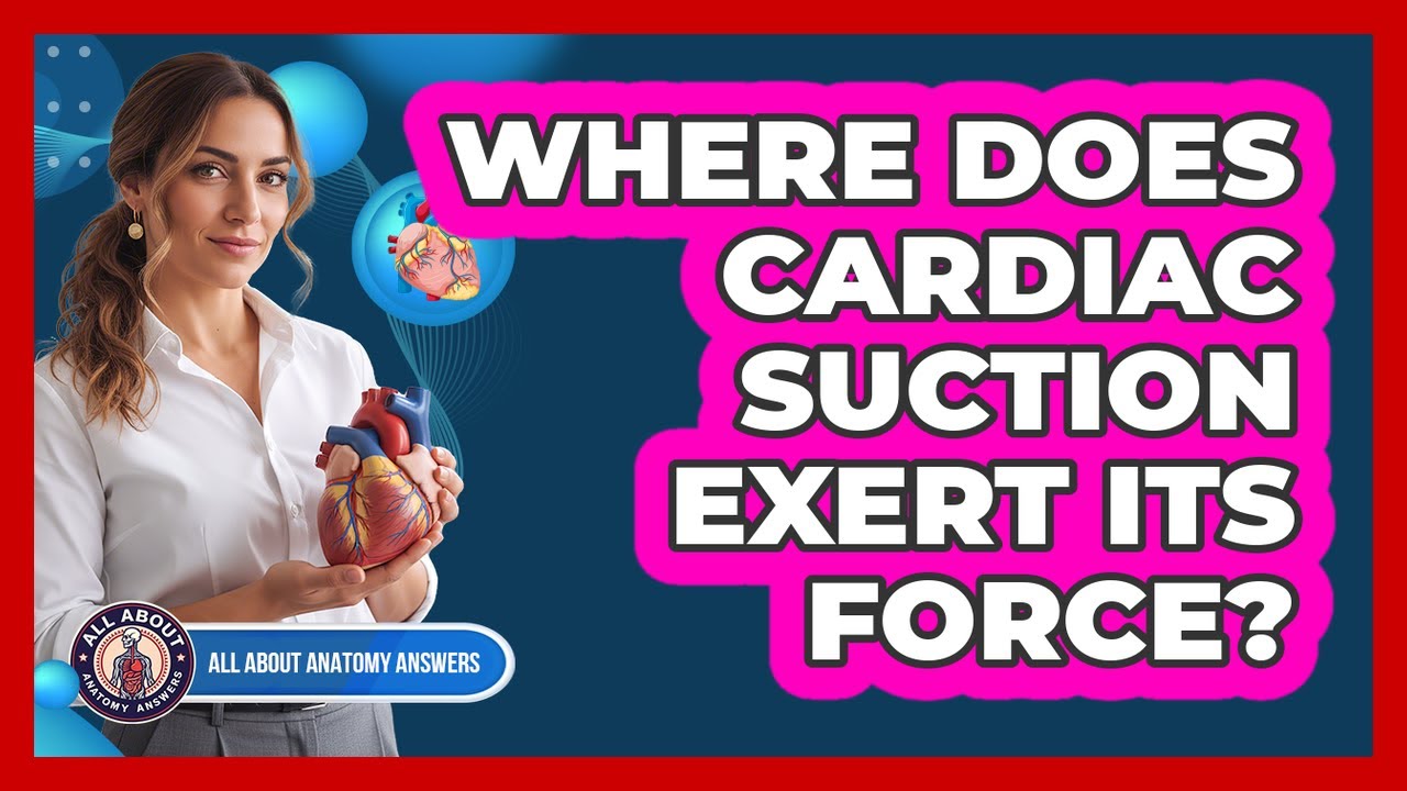 Where Does Cardiac Suction Exert Its Force?