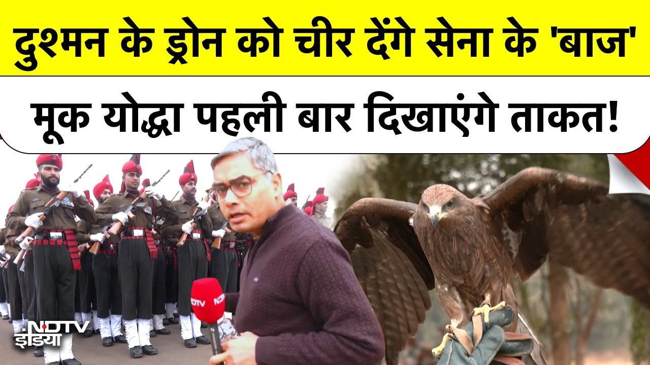 Republic Day Parade: सेना के 'मूक योद्धा' - देसी Dogs और Raptors Birds की धमाकेदार Entry! Top News