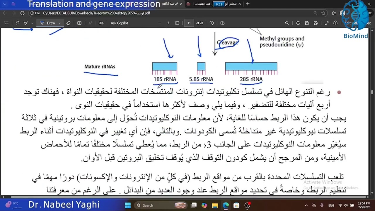 بيولوجيا جزيئية الفصل العاشر ( الترجمة وتنظيم التعبير الجيني) |BioMind Biochemistry|Dr.Nabeel Yaghi
