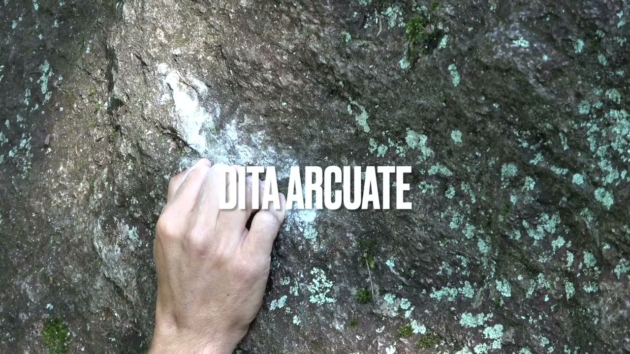 ARRAMPICATA   MANI