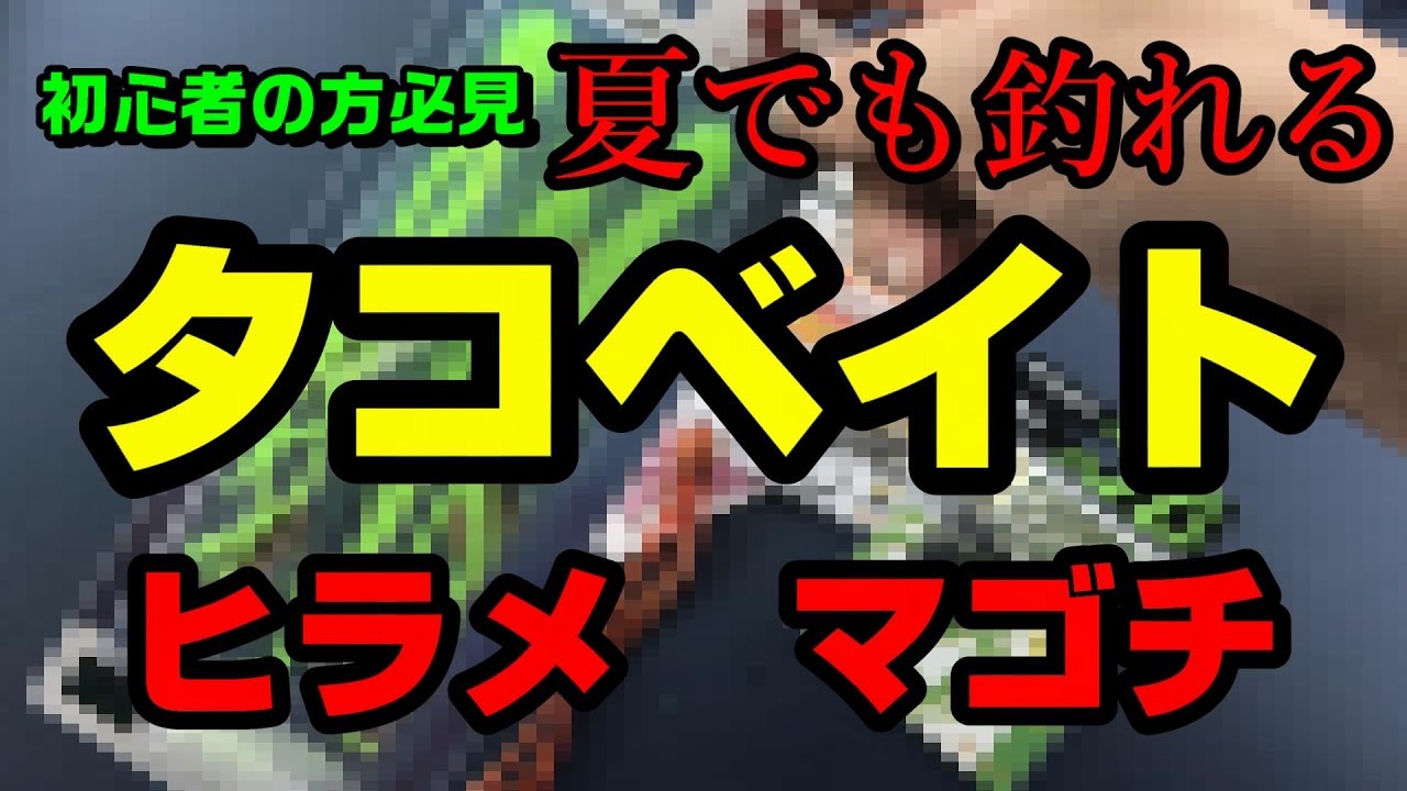 夏でも釣れる　タコベイト　ヒラメ　マゴチ　釣り