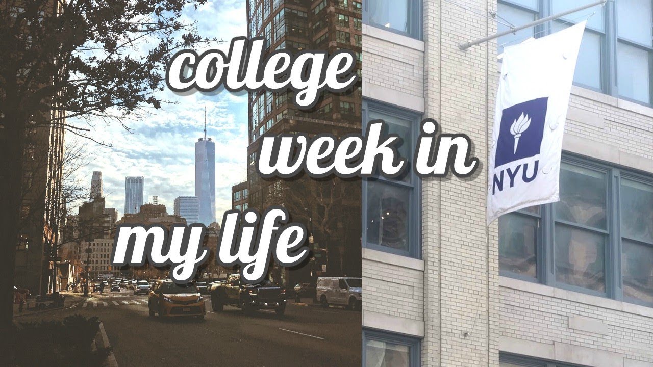 nyu week in my life: job search, stress, school