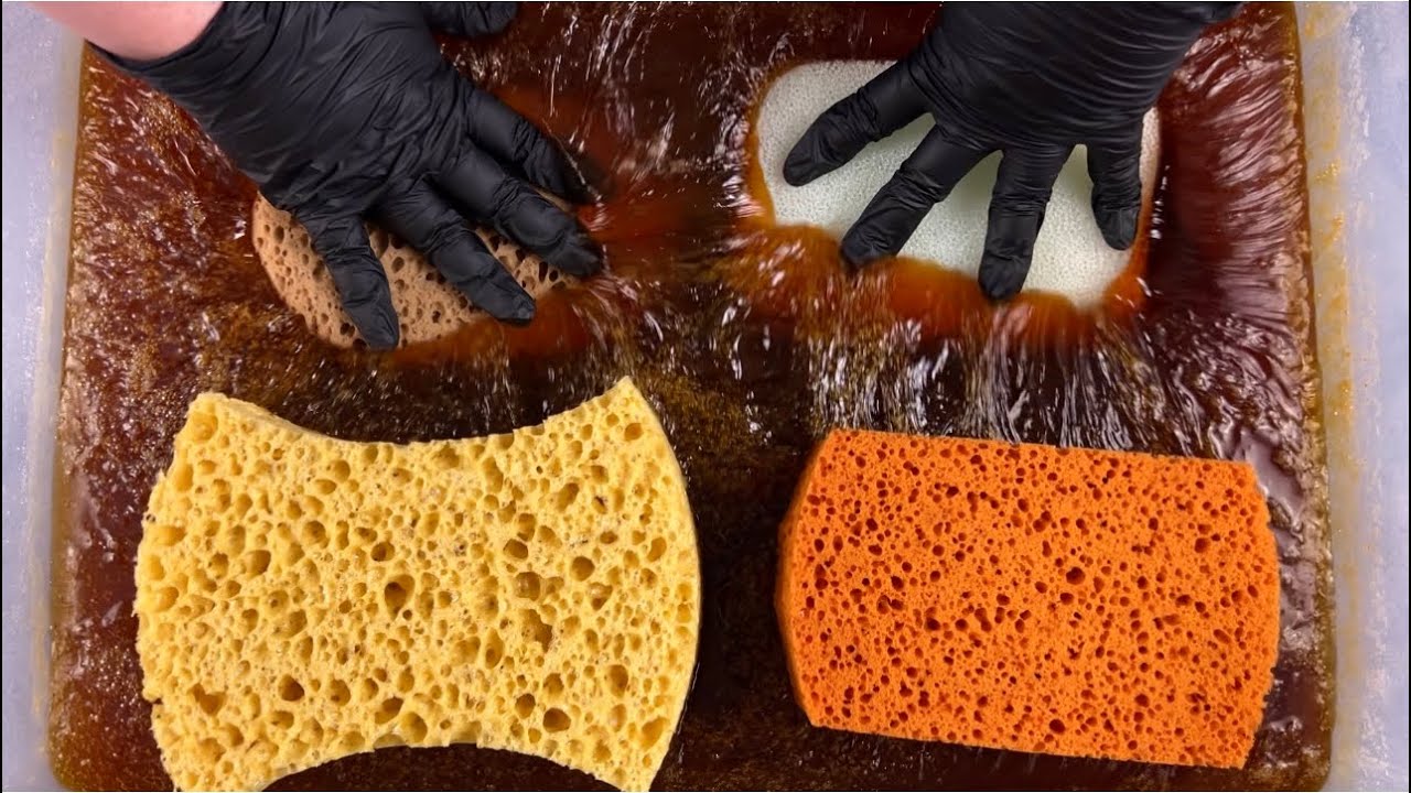 HUGE PINE BUCKET 🌲 ASMR SPONGE SQUEEZE 🧽