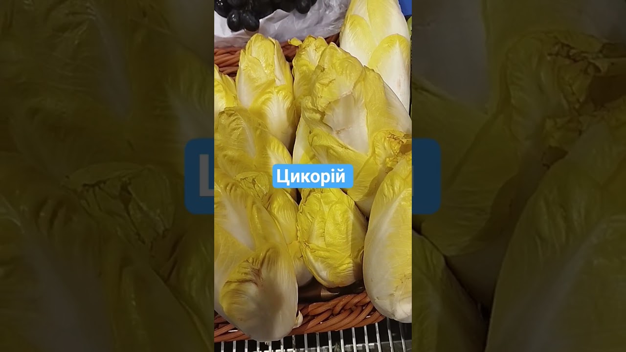 #цикорий #підпишись #ukraine #love #кава #напій #покупки #огляд #reels #silpo #shorts #сільпо