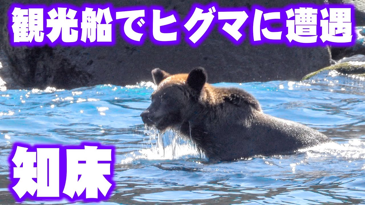 世界遺産「知床」で観光船に乗ってみた。I took a sightseeing boat ride at the World Natural Heritage Site of Shiretoko.