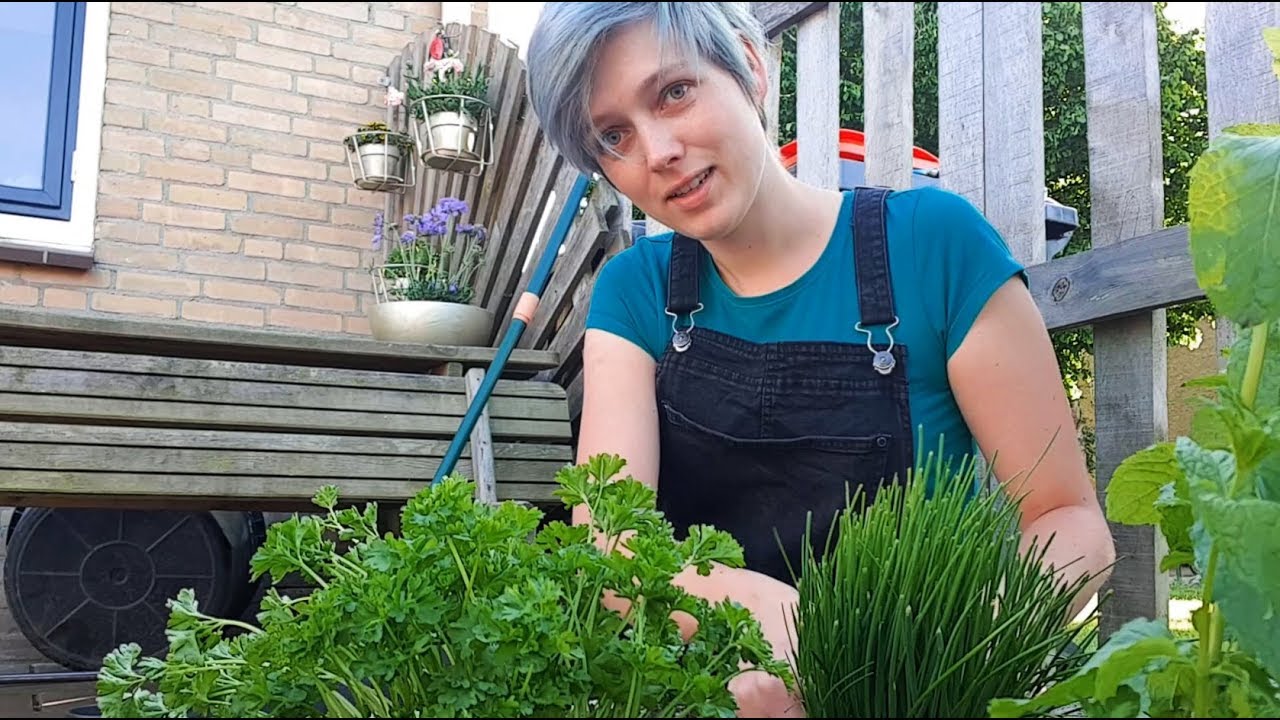 Groente🥦 kruiden & fruit - Mini moestuin deel 3 #109