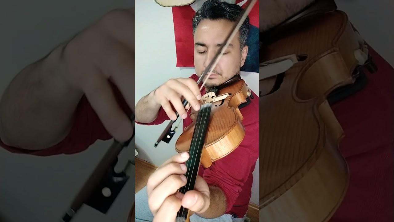 Gülü Susuz Seni Aşksız Bırakmam (keman)🎻