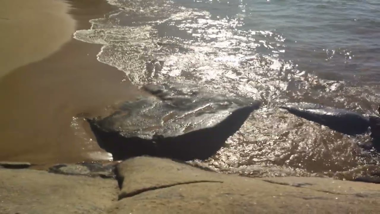 ☀ PRAIA DO MORCEGO - GUARAPARI-ES👓