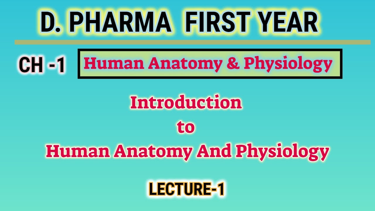 Human Anatomy and Physiology Introduction/HAP/L-1/CH-1/D.Pharm First year