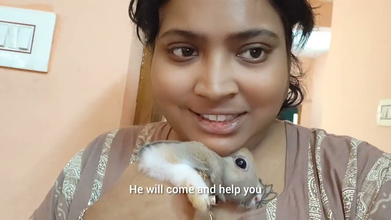 আমার বন্ধুর কাছ থেকে gift পেলাম আর চন্দননগরে গেলাম।। #tinasinoutlife #dailyvlog #bengalivlog