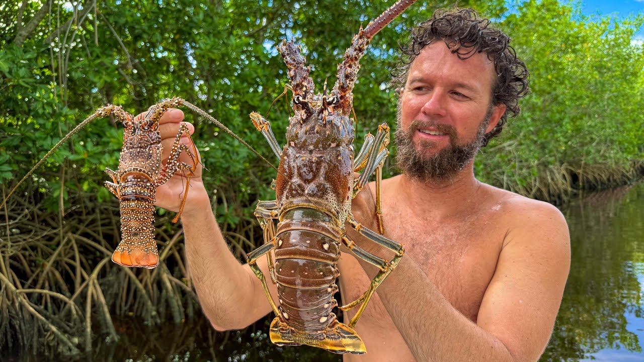 Night Dive - Harvesting Two Very Different Lobster - CCC