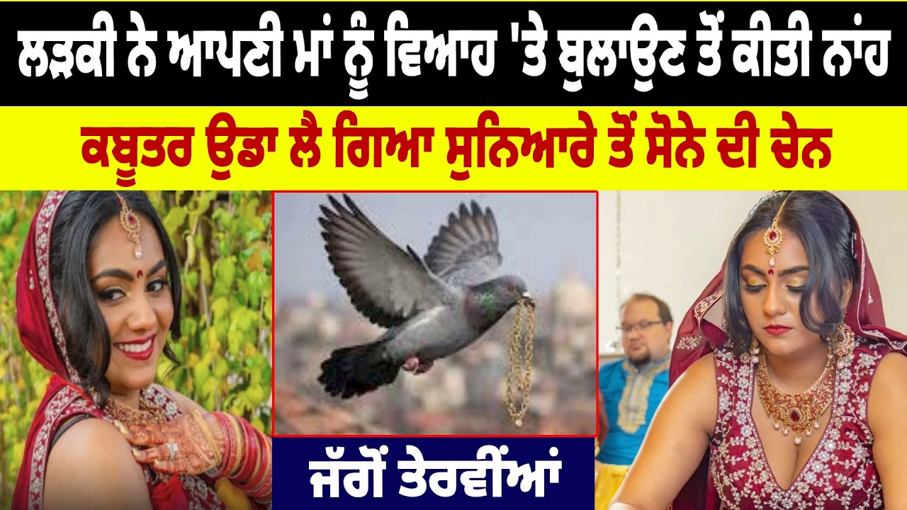 ਲੜਕੀ ਨੇ ਆਪਣੀ ਮਾਂ ਨੂੰ Marriage 'ਤੇ ਬੁਲਾਉਣ ਤੋਂ ਕੀਤੀ ਨਾਂਹ, Pgeon ਉਡਾ ਲੈ ਗਿਆ Gold ਦੀ ਚੇਨ |