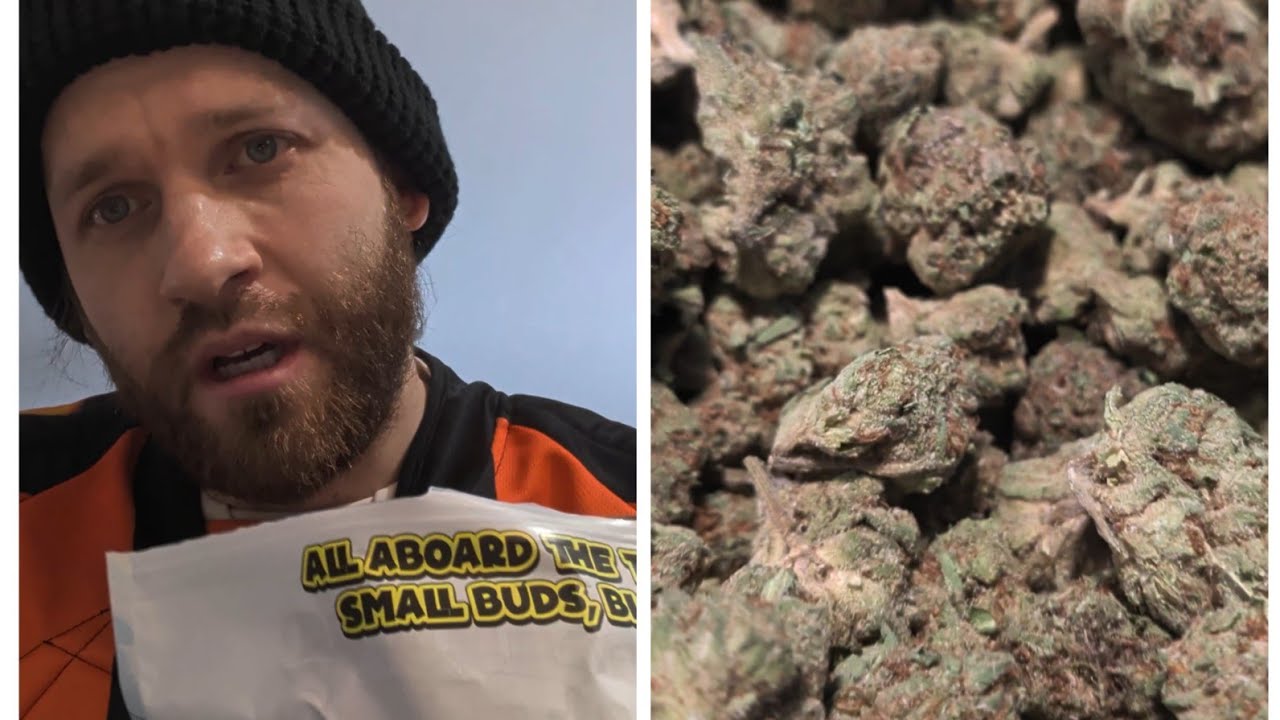 "gashouse Pluto" Thca small buds cheap hemp Flower! Risk paid off