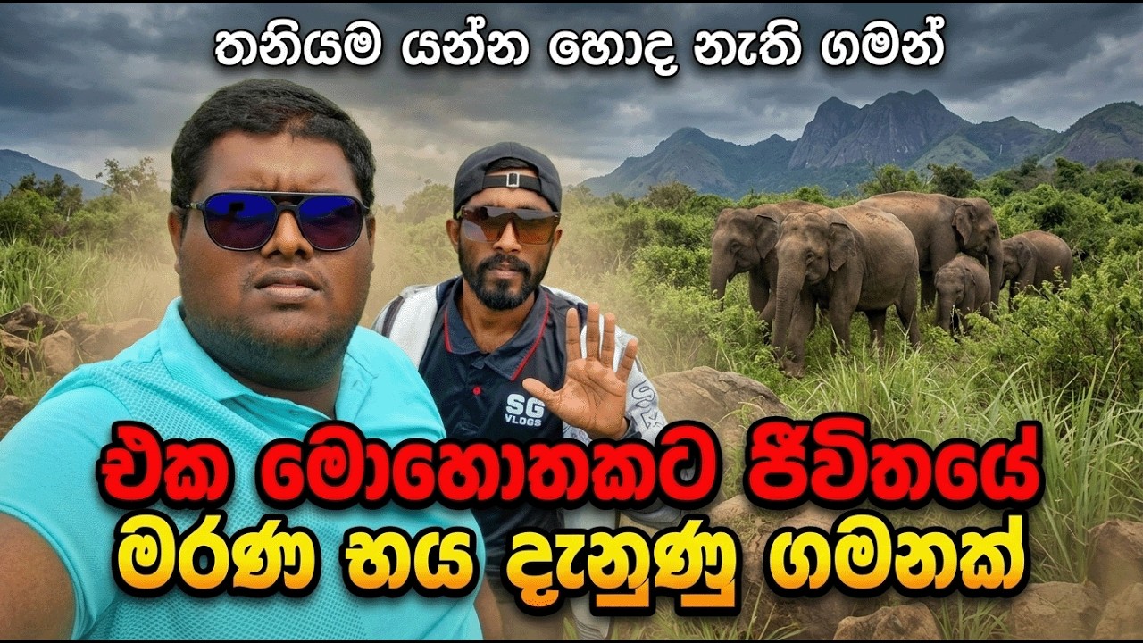 වසර ගණනාවකට පෙර අදික නායයෑමේ අවදානම නිසා මිනිසුන් ඉවත් කල ඉසව්වක් සොයා 😱👣 | Karagasthanna | Sg Vlogs