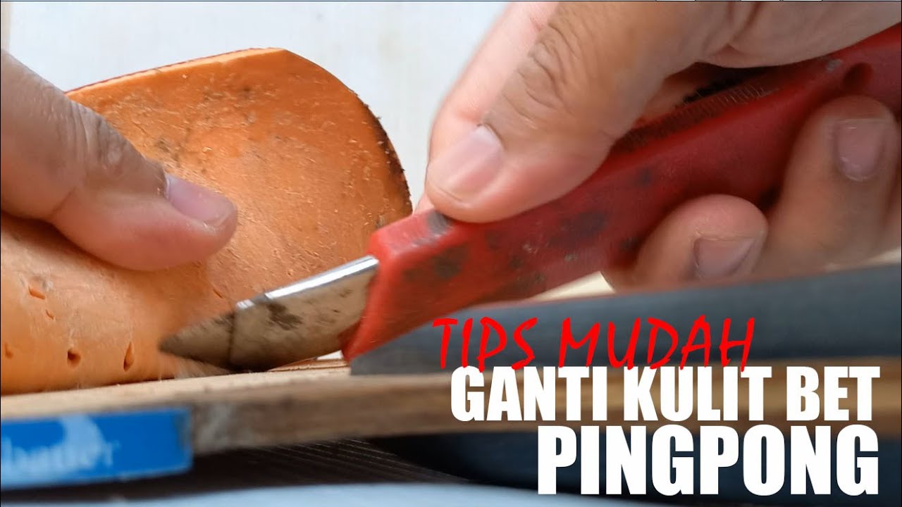 CARA MUDAH LEPAS KARET BET PINGPONG