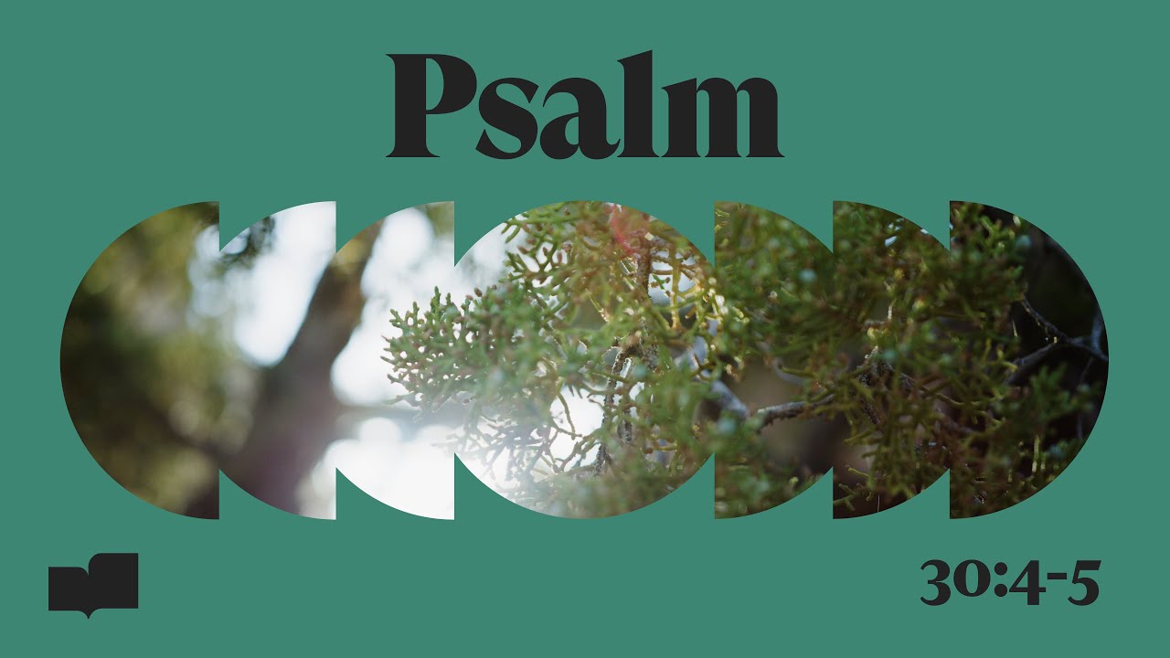 Verses - Psalm 30:4-5 (Official Lyric Video)