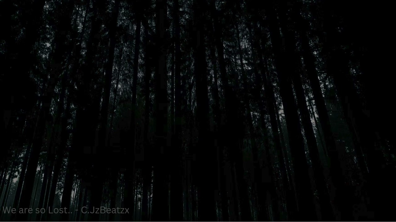 we are so lost.. - C.JzBeatzx