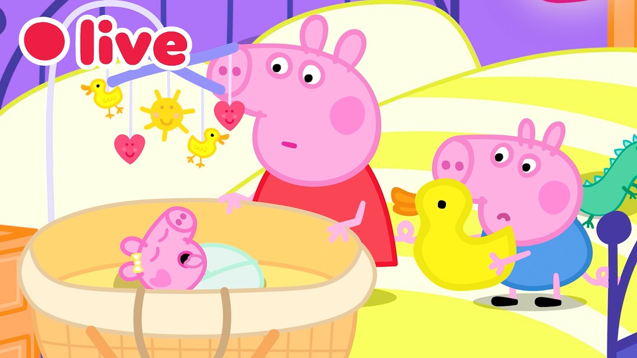 🔴 LIVE: Cutest Baby Evie Episodes 🍼 Peppa Pig Best Big Sister Moments✨Kids Cartoons 🐷 FULL Episodes