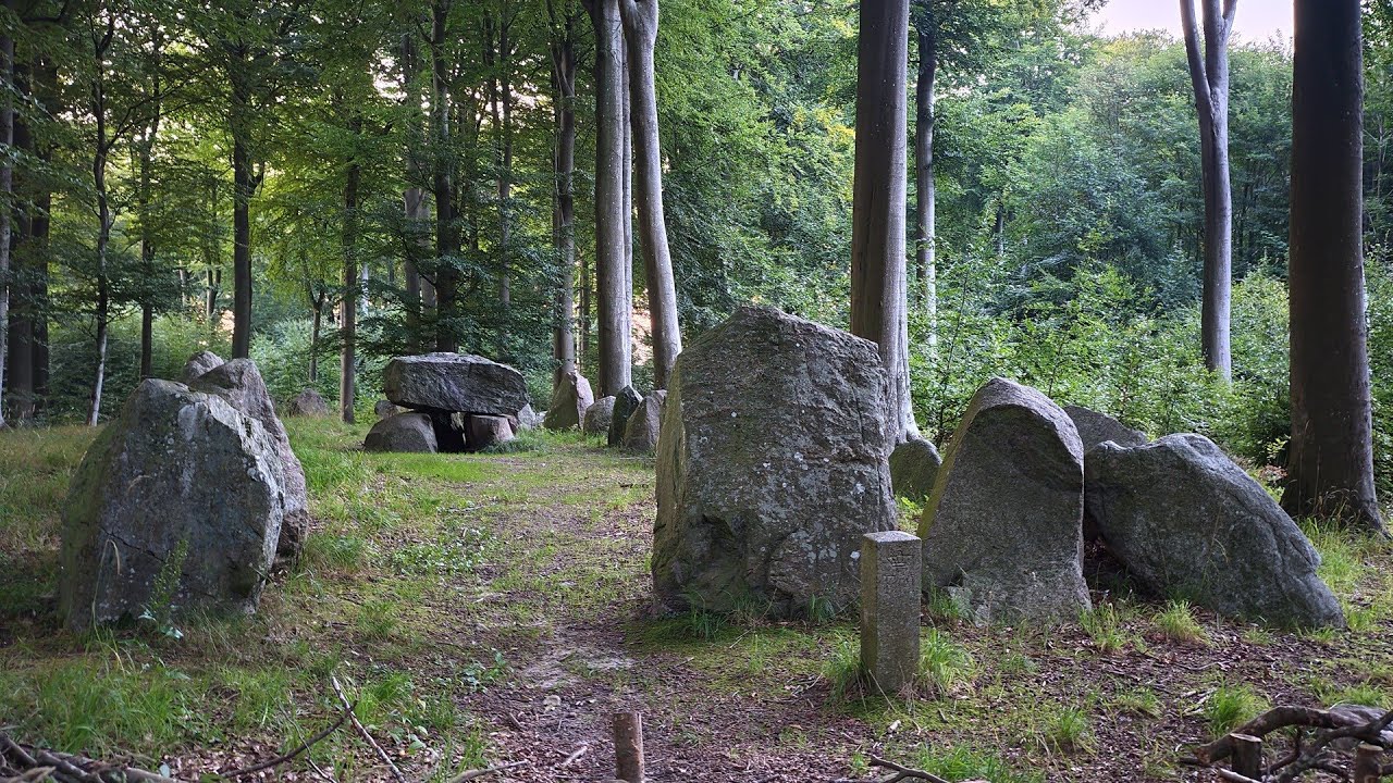 Dysser I Korsør Lystskov / Dolmens In Korsør Forest