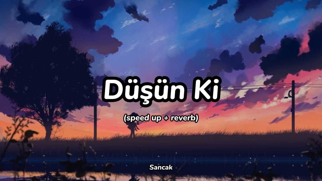 Düşün Ki (speed up + reverb) Sancak