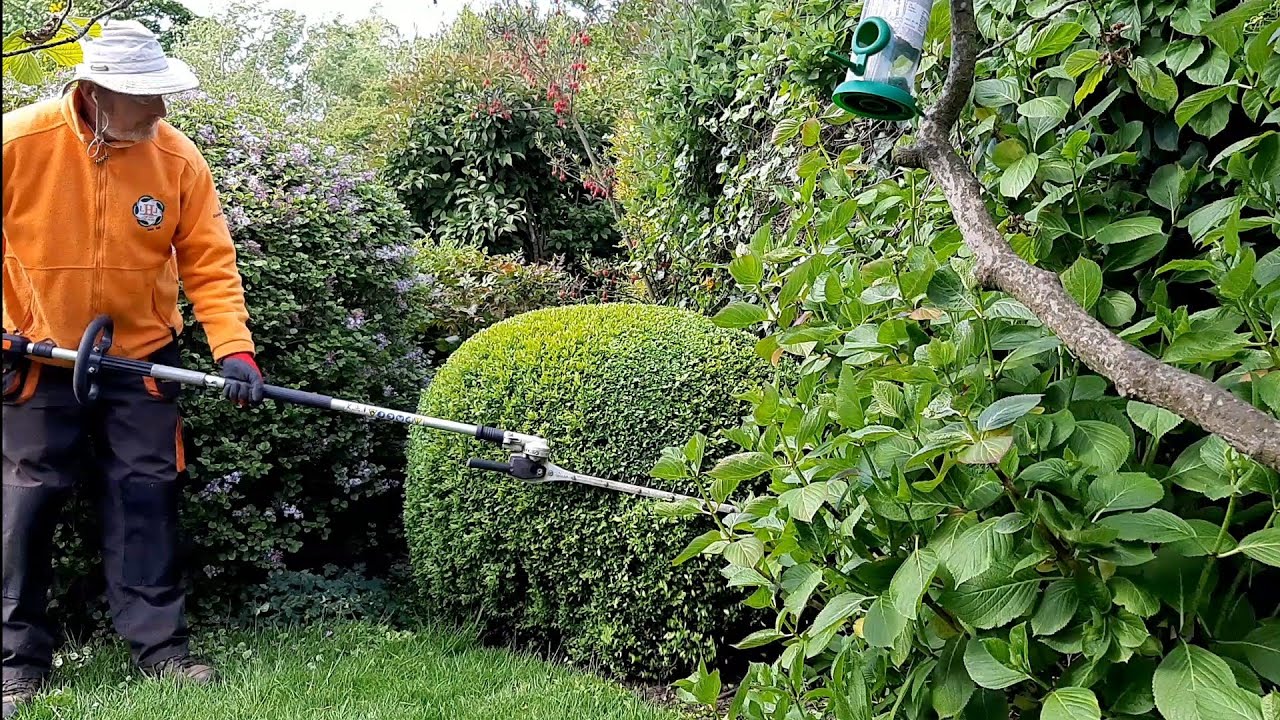 Greatest pruning  video EVER (erm..according to  me😁)
