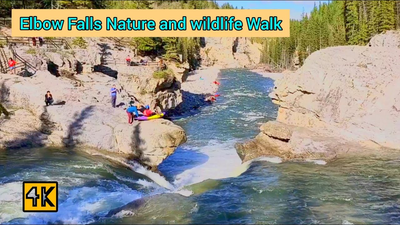Elbow Falls Nature and wildlife walk in Kananaskis , Alberta on 27th may 2021. #Alberta #kananaskis