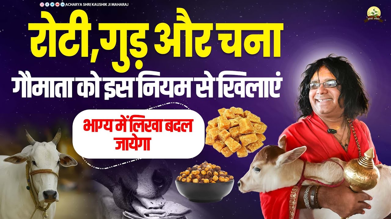 रोटी, गुड़ और चना गौमाता को इस नियम से खिलाएं, भाग्य में लिखा बदल जायेगा | Shri Kaushik Ji Maharaj