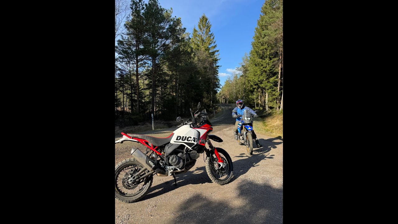 DadVenture3 Ducati Desert X Rally 2024 vs Yamaha Ténéré 700 Extreme 2024 inofficial test.