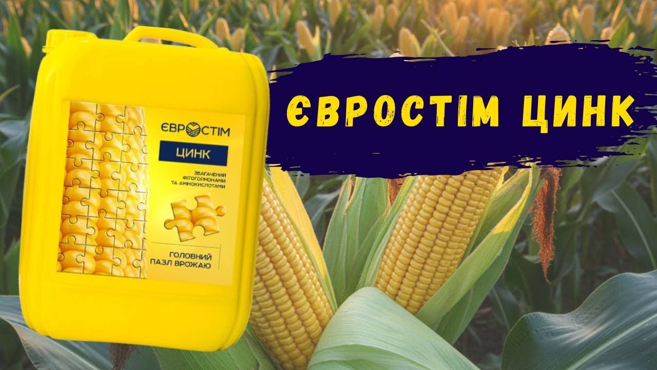 Дефіцит цинку? Рішення є! Огляд комплексного добрива Євростім Цинк.