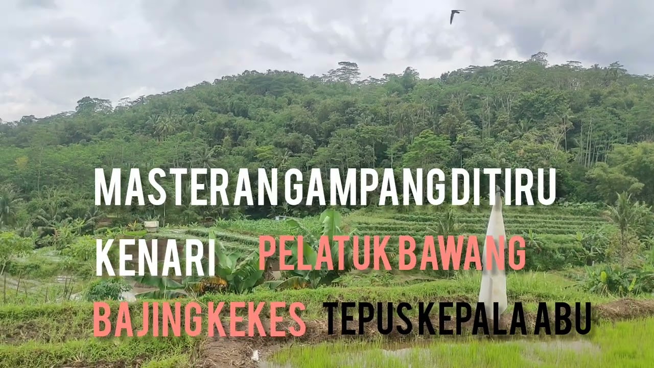 MASTERAN MUDAH DI TIRU | KENARI PELATUK BAWANG BAJING KEKES TEPUS KEPALA ABU.
