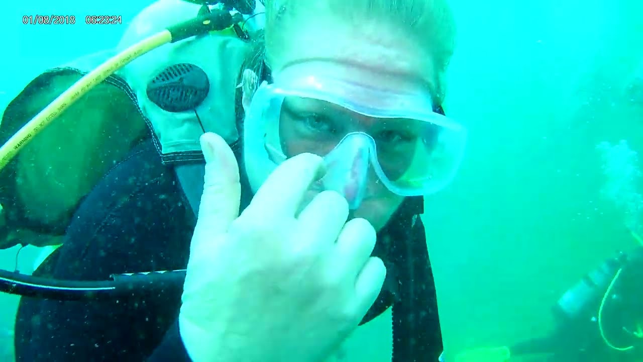 Vortex springs just diving looking around