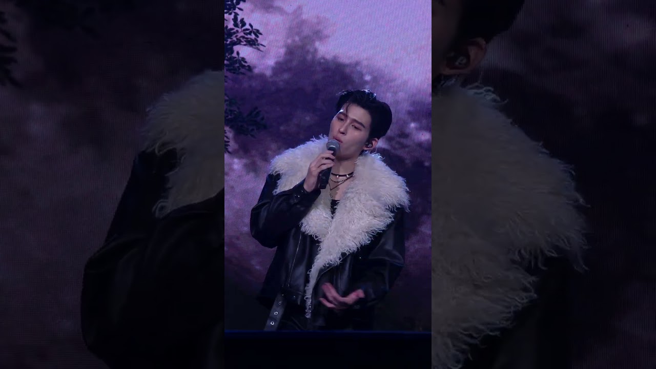 หนึ่งเดียว chinese ver.