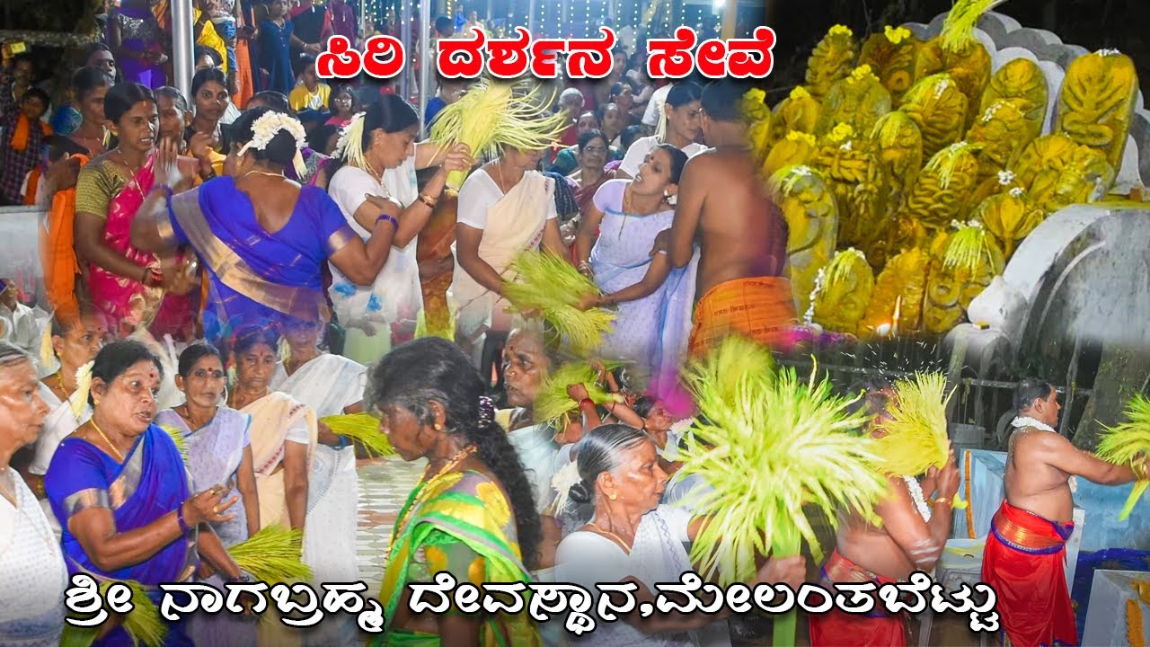 ಸಿರಿ ದರ್ಶನ ಸೇವೆ ||ಶ್ರೀ ನಾಗಬ್ರಹ್ಮ ದೇವಸ್ಥಾನ,ಮೇಲಂತಬೆಟ್ಟು