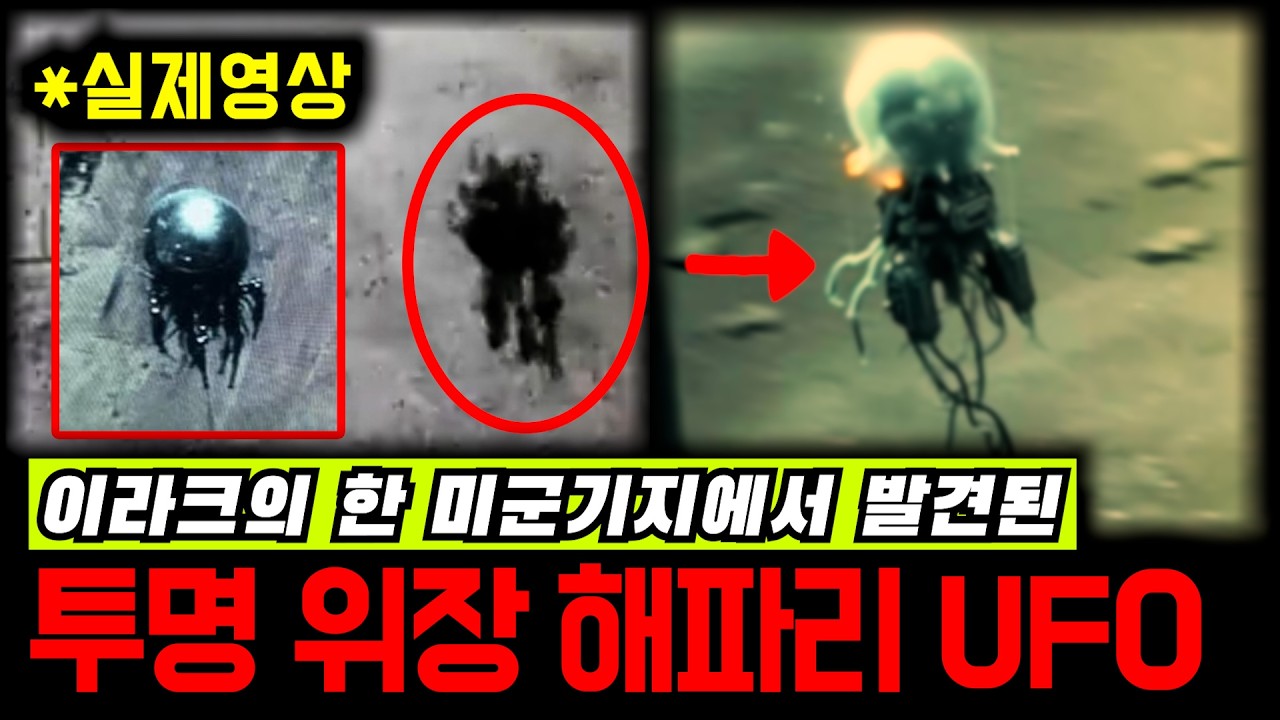이라크 미군기지에서 발견된 '투명 해파리 UFO'의 정체 [미스터리]